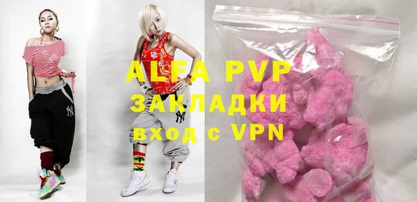 индика Бородино