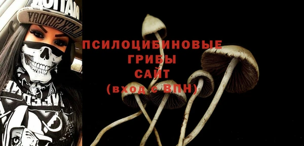 индика Бородино