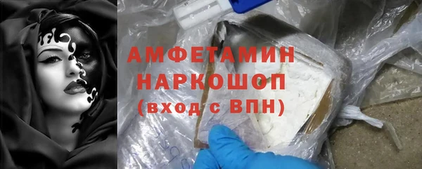 индика Бородино