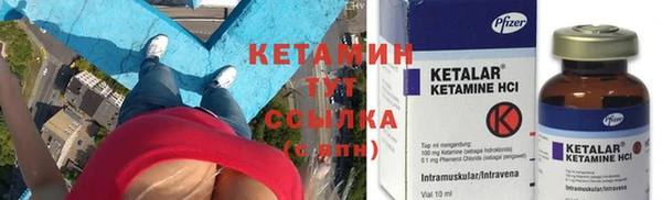 индика Бородино