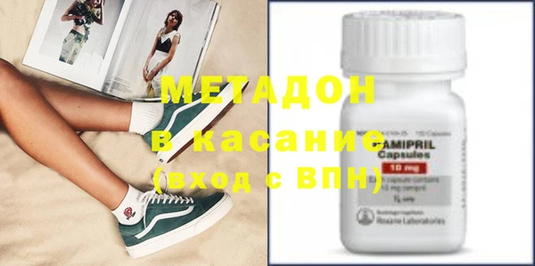 индика Бородино
