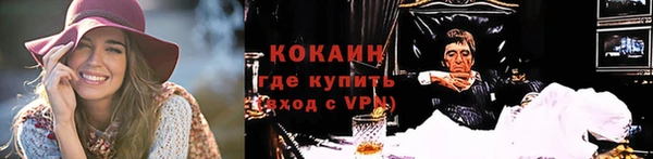 ГАЛЛЮЦИНОГЕННЫЕ ГРИБЫ Богданович