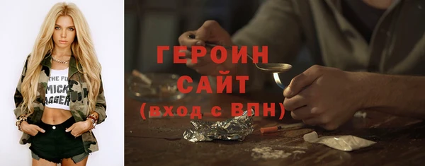 индика Бородино