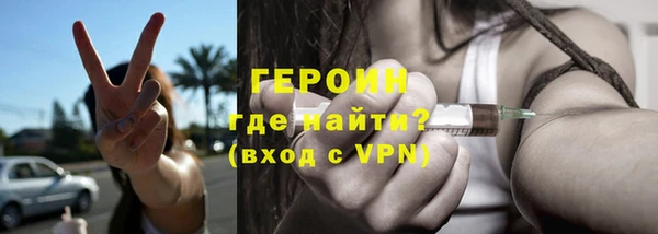 индика Бородино