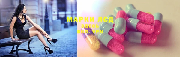 ГАЛЛЮЦИНОГЕННЫЕ ГРИБЫ Богданович