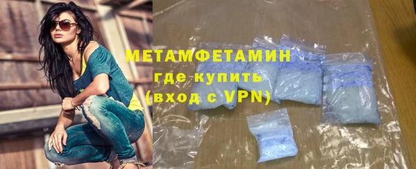 ГАЛЛЮЦИНОГЕННЫЕ ГРИБЫ Богданович
