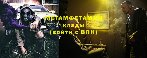 ГАЛЛЮЦИНОГЕННЫЕ ГРИБЫ Богданович