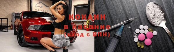 индика Бородино